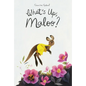 What's Up, Maloo? - Hardcover