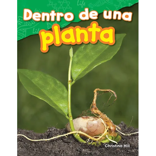 Dentro de Una Planta - Paperback