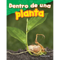 Dentro de Una Planta - Paperback