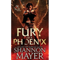 Fury of a Phoenix - Paperback