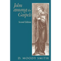 John Among the Gospels: Second Edition - Paperback