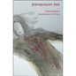 Paraguayan Sea - Paperback