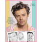 The Harry Styles Dots Lines Spirals Coloring Book: The Coloring Book for All Fans of Harry Styles With Easy, Fun and Relaxing Design - Hardcover