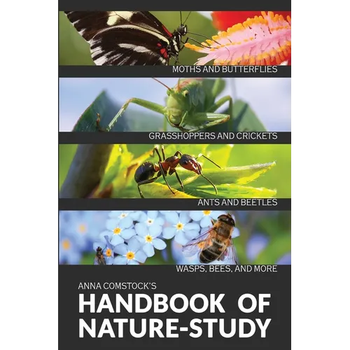 The Handbook Of Nature Study in Color - Insects - Paperback