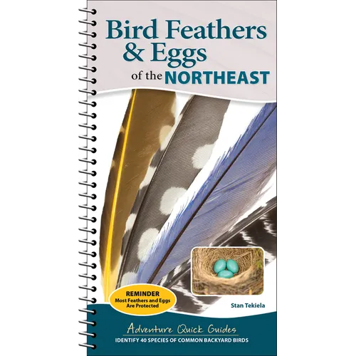 Bird Feathers & Eggs of the Northeast: Identify 40 Species of Common Backyard Birds - Spiral
