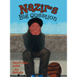 Nazir's Big Question - Hardcover