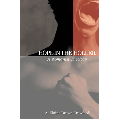 Hope in the Holler: A Womanist Theology - Paperback