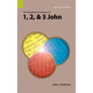 An Exegetical Summary of 1, 2, and 3 John, 2nd Edition - Hardcover