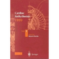 Cardiac Arrhythmias 1999: Proceedings of the 6th International Workshop on Cardiac Arrhythmias (Venice, 5-8 October 1999) - Hardcover