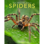 Spiders: Amazing Pictures & Fun Facts on Animals in Nature - Paperback