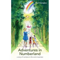 Adventures in Numberland: a story of numbers in life and in business - Paperback