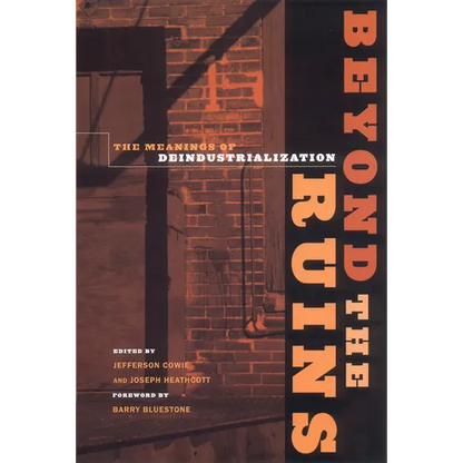 Beyond the Ruins: The Meanings of Deindustrialization - Paperback