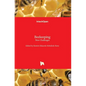 Beekeeping: New Challenges - Hardcover