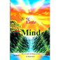 The Little Mind: How to make all things possible - Paperback