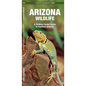 Arizona Wildlife: A Folding Pocket Guide to Familiar Animals