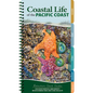 Coastal Life of the Pacific Coast: Discover Tidepools and Identify Beachcombing Finds and Iconic Wildlife - Spiral