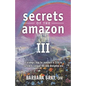 Secrets of the Amazon III: A strategic map for investors & CEOs to survive & conquer the new disruptive era - Paperback