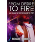 From Desire to Fire: How to Easily Tap into The Realm of The Spirit - Paperback