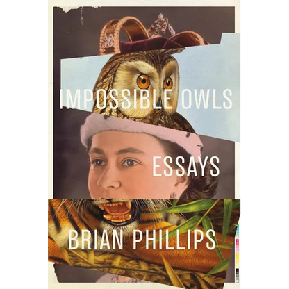 Impossible Owls: Essays - Paperback
