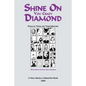 Shine on You Crazy Diamond - Paperback