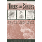 Trees & Shrubs of the Trans-Pecos and Adjacent Areas - Paperback