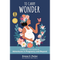 To Carry Wonder: A Memoir and Guide to Adventures in Pregnancy and Beyond - Paperback
