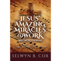 Jesus' Amazing Miracles (Jams) @ Work 365 Day Devotional: My Story/My Song - Paperback