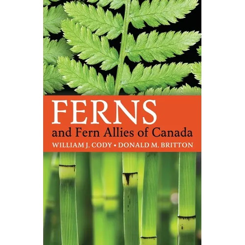 Ferns and Fern Allies of Canada - Paperback