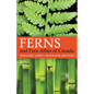 Ferns and Fern Allies of Canada - Paperback