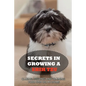 Secrets In Growing A Shih Tzu: Caring, Feeding And Training Your Shih Tzu At Home: What You Will Need To Train Your Shih Tzu - Paperback