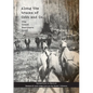 Along the tracks of Cobb and Co. - The Great Northern Road: Tenterfield to Warwick - Paperback