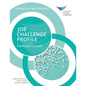 Job Challenge Profile: Facilitator's Guide - Paperback