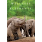 Wellness for Elephants: Proceedings of the Jacksonville Workshop - Paperback