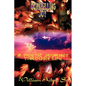 Compelling Joy: A Poetic Journey Through Life - Paperback