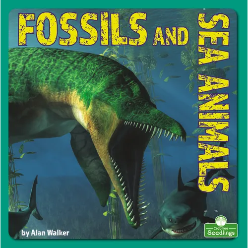 Fossils and Sea Animals - Library Binding