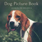 Dog Picture Book: For Elderly with Dementia. Alzheimer's activities for Women and Men. - Paperback