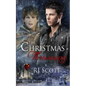 The Christmas Throwaway - Paperback