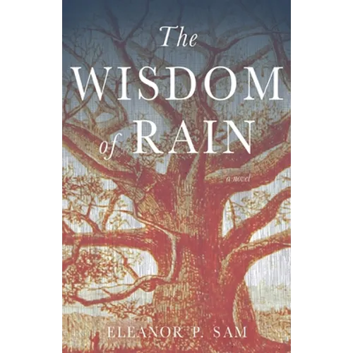 The Wisdom of Rain - Paperback