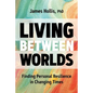 Living Between Worlds: Finding Personal Resilience in Changing Times - Paperback