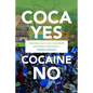 Coca Yes, Cocaine No: How Bolivia's Coca Growers Reshaped Democracy - Paperback