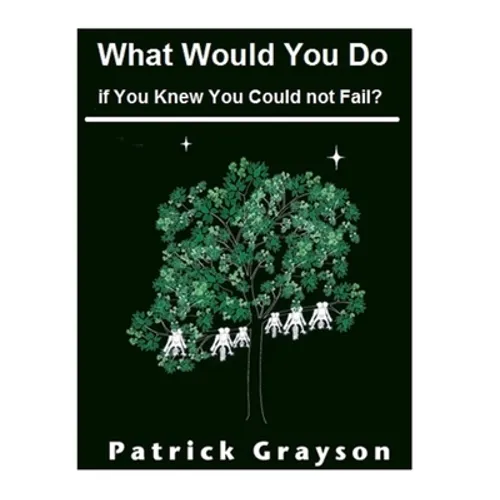 What Would You Do If You Knew You Could Not Fail? - Paperback