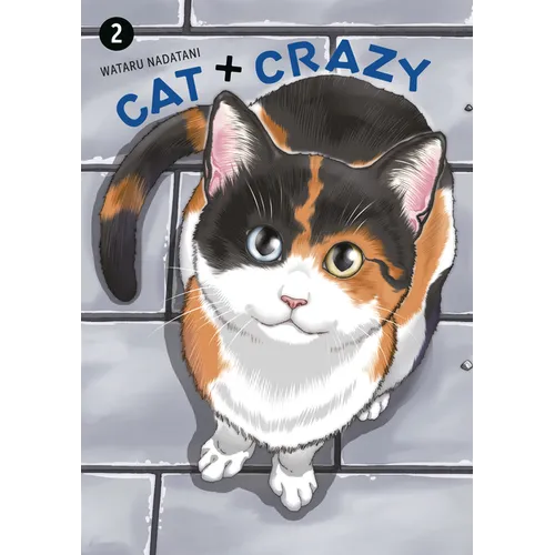 Cat + Crazy Volume 2 - Paperback