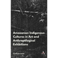 Amazonian Indigenous Cultures in Art and Anthropological Exhibitions - Hardcover