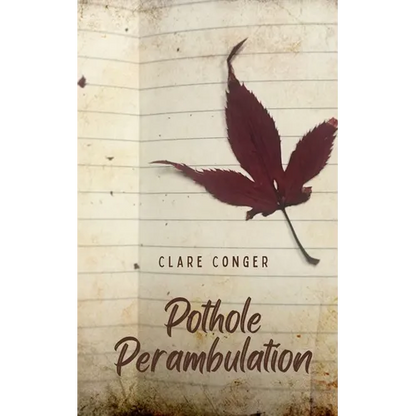 Pothole Perambulation - Paperback