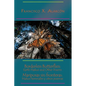 Borderless Butterflies / Mariposas sin fronteras - Paperback