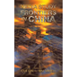 Media Study Frontiers in China - Hardcover