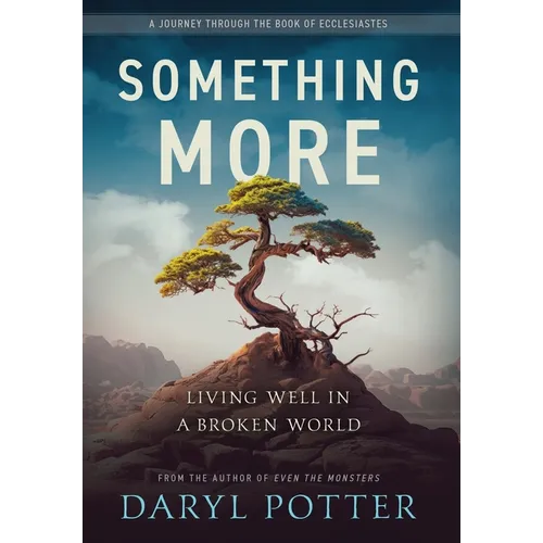 Something More: Living Well in a Broken World - Hardcover