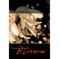 Blossom - Hardcover