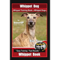 Whippet Dog, Whippet Training Book for Whippet Dogs By BoneUP DOG Training Are You Ready to Bone Up?: Easy Training * Fast Results, Whippet Book - Paperback