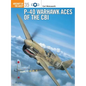 P-40 Warhawk Aces of the Cbi - Paperback